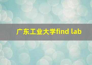 广东工业大学find lab